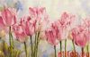 Tulips.thumb.jpg.2e87299dfcb45969dc44ad7c6c89ea75.jpg