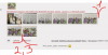 image.thumb.png.bb6df02631e7df5a4c94699df6b67d48.png