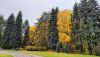 1064027913_2024-10-1314-12-18.thumb.JPG.a54972281da399189556581987290935.JPG