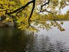 1321991253_2024-10-0912-35-27.thumb.JPG.978ac03f12b1c58f77ac7411d984d0a3.JPG