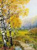 Риолис (Сотвори Сама) 1134, Березовая роща