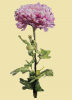 16847745_.thumb.png.5fce311bfce573115c2b9e77d6ef0261.png