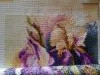 20241021_091716.thumb.jpg.0366b0d286544f06941818b1e1f7af41.jpg?1731057837259