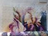 20241021_091733.thumb.jpg.43eb7e3d63b5c4da5045fe71066af9e3.jpg?1731057839985