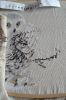 20241102_130545.thumb.jpg.39db2f4c567b9ab1ca422696be7d577d.jpg