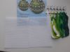 20241105_083043.thumb.jpg.b0aa901a433bffc6e1c1258021e6b5ed.jpg
