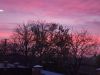 20241114_070320.thumb.jpg.38971cd6cd0443099ff8b74e15783650.jpg