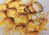 20241115_093807.thumb.jpg.9c883dca901d64b20602c1bd076de2c1.jpg