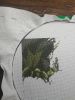 20241116_093539.thumb.jpg.df8ae677a04a851b498bc102df8a3813.jpg