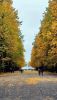 205814552_2024-10-1314-01-14_1728839382.thumb.JPG.967d56fc50feebe656a3b2e0594e0427.JPG