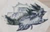 3.thumb.jpg.361c9097288277aba9bbc470437ee9a2.jpg