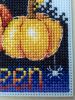 3.thumb.jpg.e8fdd803a14be3b0f358c9880dc97be3.jpg