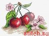 48922.thumb.jpg.78034101cb0a87e6e73b288fa7be71c5.jpg
