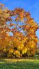 770466738_2024-10-2010-51-10.thumb.JPG.308cdff3b514af1797b4903df9de461a.JPG