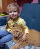 IMG-20241028-WA0177.thumb.jpg.ca668ec8c96cc3c6a766a80098737872.jpg