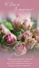 IMG-20241030-WA0036.thumb.jpg.46bacc49d96d9fdefd2e653c1d2c9747.jpg