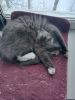 IMG-20241107-WA0005.thumb.jpg.455e5eebe0d3d3bbf68ca216a8db7136.jpg