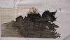IMG20240818103925.thumb.jpg.b6949871b0f5318f8ecd2d0de2d4b481.jpg
