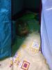 IMG20241126193955.thumb.jpg.c49dbf11d6c6a36fa9179718135bec1d.jpg