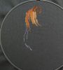 IMG_1019.jpeg