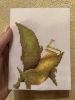 IMG_1146.thumb.jpeg.ff153ad86a36fb374e1e67057cf37b42.jpeg
