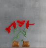 IMG_1214.thumb.jpeg.b350d2d0fb22fbcbb6019e1a9eaa048e.jpeg