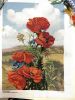 IMG_1699.jpeg