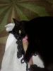 IMG_20231029_145927.thumb.jpg.9fcb4382a85fef72eb340363c90c55f8.jpg