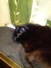IMG_20240628_215721.thumb.jpg.c503cd3d6e8968be6ee9f1b38ca56d6a.jpg