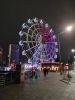 IMG_20241015_195052.thumb.jpg.b9d8bdf9d874d4d0f97f6a86e5a37dc1.jpg