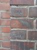 IMG_20241019_114042.thumb.jpg.9f9acd870b8a68f5b7a66e9146b0303f.jpg