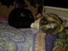 IMG_20241021_172743.jpg