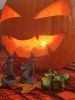 IMG_20241027_162951.thumb.jpg.896bbbfe49644809072ea1a96bb765f8.jpg