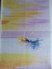 IMG_20241029_082629.thumb.jpg.0b36d2d0cb05445193b449e7ca2faa5f.jpg?1732288454527