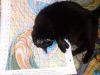 IMG_20241103_022354.thumb.jpg.7b43725d4173060d3a6f2e530d0267f1.jpg