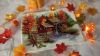 IMG_20241113_085711.thumb.jpg.5feecdbce32662ca058ed52c433cbe81.jpg