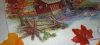 IMG_20241113_090305.thumb.jpg.bb29a2a9215e4de1307b31bd28683c9a.jpg