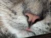 IMG_20241113_223651_756.thumb.jpg.d8a5bcc5297d12669d9845c5a528797d.jpg