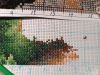 IMG_20241114_223103.thumb.jpg.0b2a0fc025812c83b9939a57da5d31b7.jpg