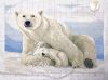 IMG_20241115_004233.thumb.jpg.06bc2740c1a8a44c4bde44b547d0a45a.jpg