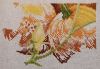 IMG_20241119_074618.thumb.jpg.2b344b504c0ca85a9f2a47b6b38a980e.jpg