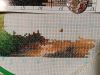 IMG_20241121_224433.thumb.jpg.23480e4d6f8f672c6cc030e3ae27c678.jpg