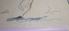 IMG_20241122_091226.thumb.jpg.d8be27a4fe7755e0c23dfdc93585df10.jpg