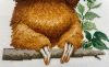 IMG_3672.jpeg