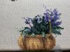 IMG_7221.jpeg