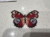 IMG_9709.thumb.jpeg.9e68efb792c5ee6fd8376cc03f34dfe7.jpeg?1730604201280
