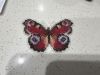 IMG_9710.thumb.jpeg.484584341607cabcba689bdc3d4782a2.jpeg