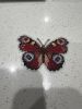 IMG_9712.jpeg.f2131c36918ff45884c591f09a9a9e3a.jpeg