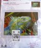 Iguana.thumb.jpg.1cb0b8c890fe4f9b16b51103812ce9e9.jpg