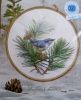 Nuthatch.thumb.jpg.11c99be1de031f5fcae4b87e0621b364.jpg